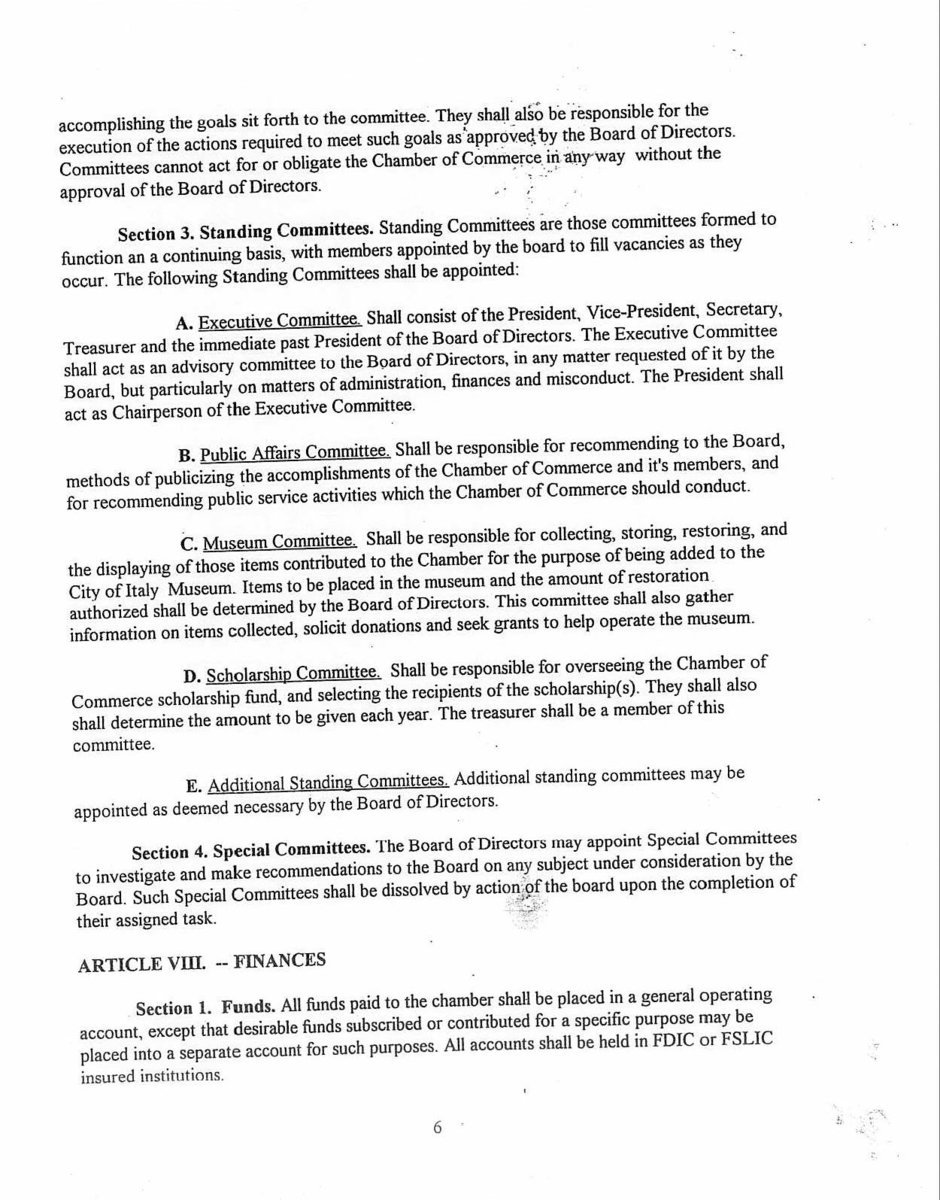 Image: Bylaws page 6