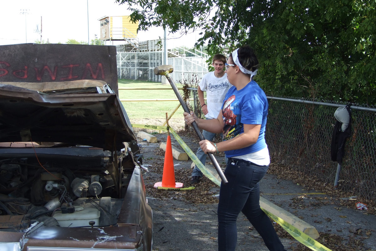 Image: Molly Haight — Molly chose carefully where she hit the car.