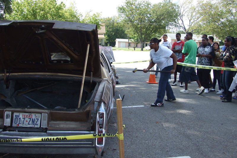 Image: Jasmine tries again — Jasmine was aiming to hit something off the car.