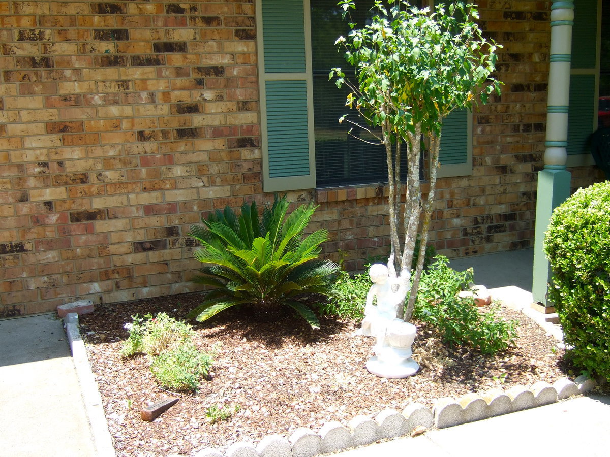 Image: Plants being looked after by an angel.