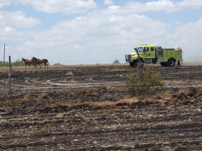 Image: The Texas Forest Service, along with local fire departments, kept these horses safe and property damage to a minimum.
