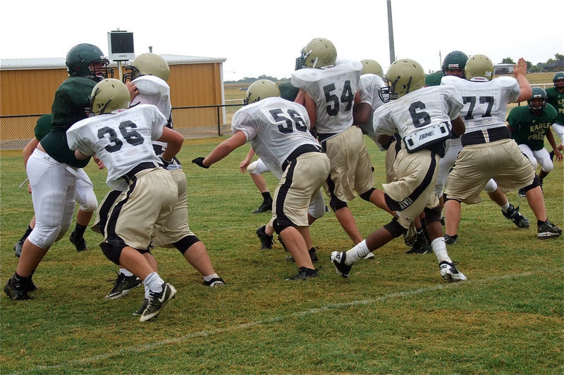 Image: Eric Carson(6) drops back comfortably behind his JV offensive line.