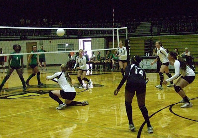 Image: Madison Washington(10) digs low to keep the volley going.
