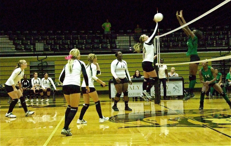 Image: Madison Washington(10) fires back at the Lady Bobcats.