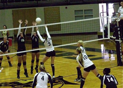 Image: Kaitlyn Rossa(3) takes on a double block from two Lady Bulldogs.
