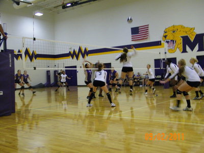 Image: Alyssa Richards(9) goes up for the spike.  