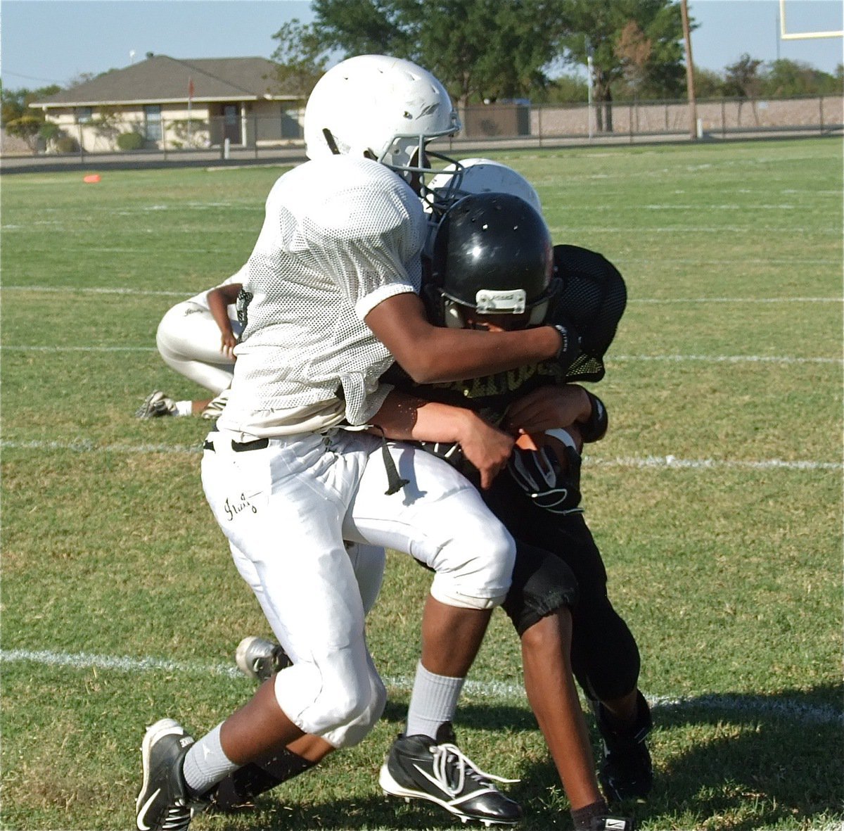 Image: Italy’s Joe Celis chomps down on a Plamer Bulldog runner.