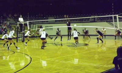 Image: The Lady Tigers try to protect the net.