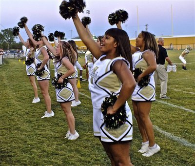 Image: The IHS cheerleaders get the fans off their feet.