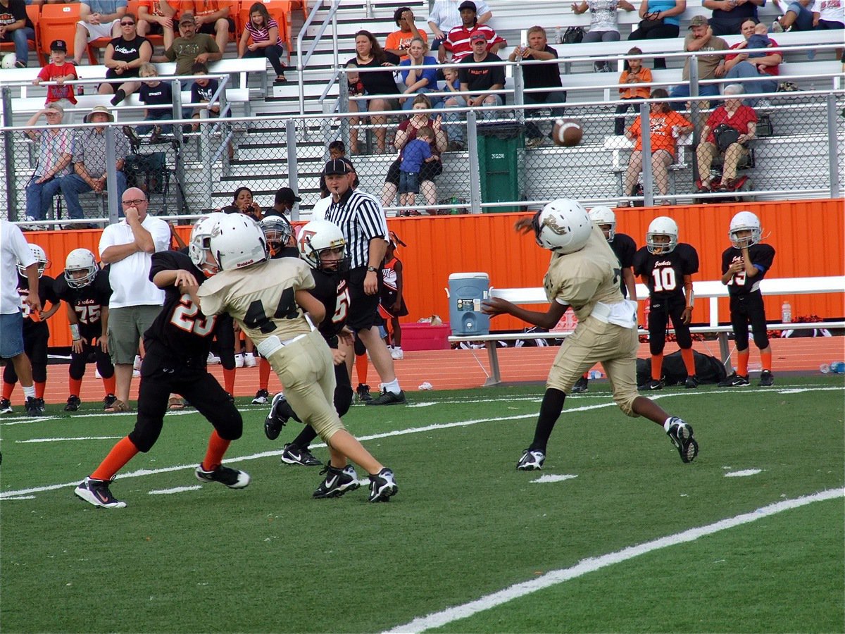 Image: With Jayden Saxon(44) fighting back the Yellow Jacket swarm, Ricky Pendleton(21) passes downfield.