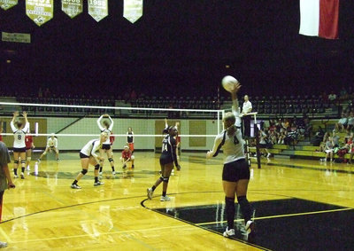 Image: 
    	Jaclynn Lewis serves the ball to the Lady Panthers.
    