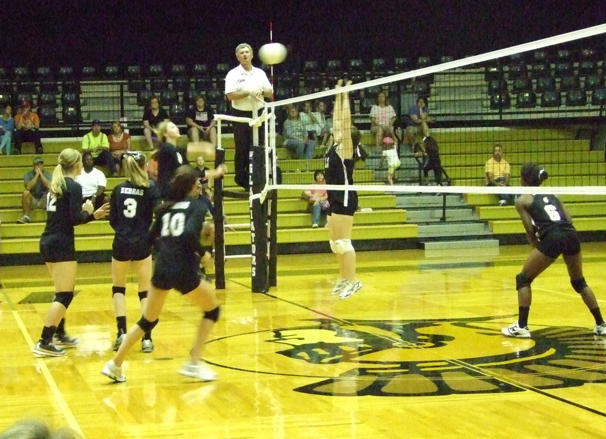 Image: The Lady Gladiators are ready.