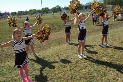 Image: IYAA B-Team Cheerleaders make some noise along the sideline!
