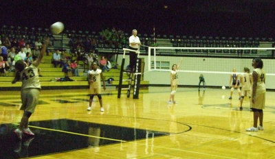 Image: Kimberly Mata #43 serves up a cannon to the Lady Wildcats.