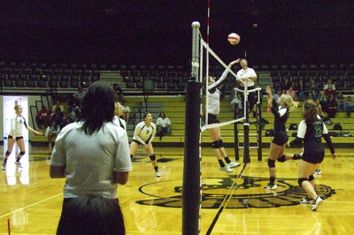 Image: Kaitlyn Rossa, co-captain of the Lady Gladiators, strikes at the net.