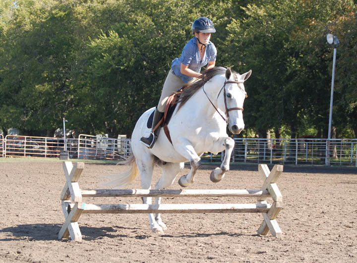 Image: Courtney Griffith of Midlothian and her horse Grayliner won the hunter over fences and English walk trot classes.