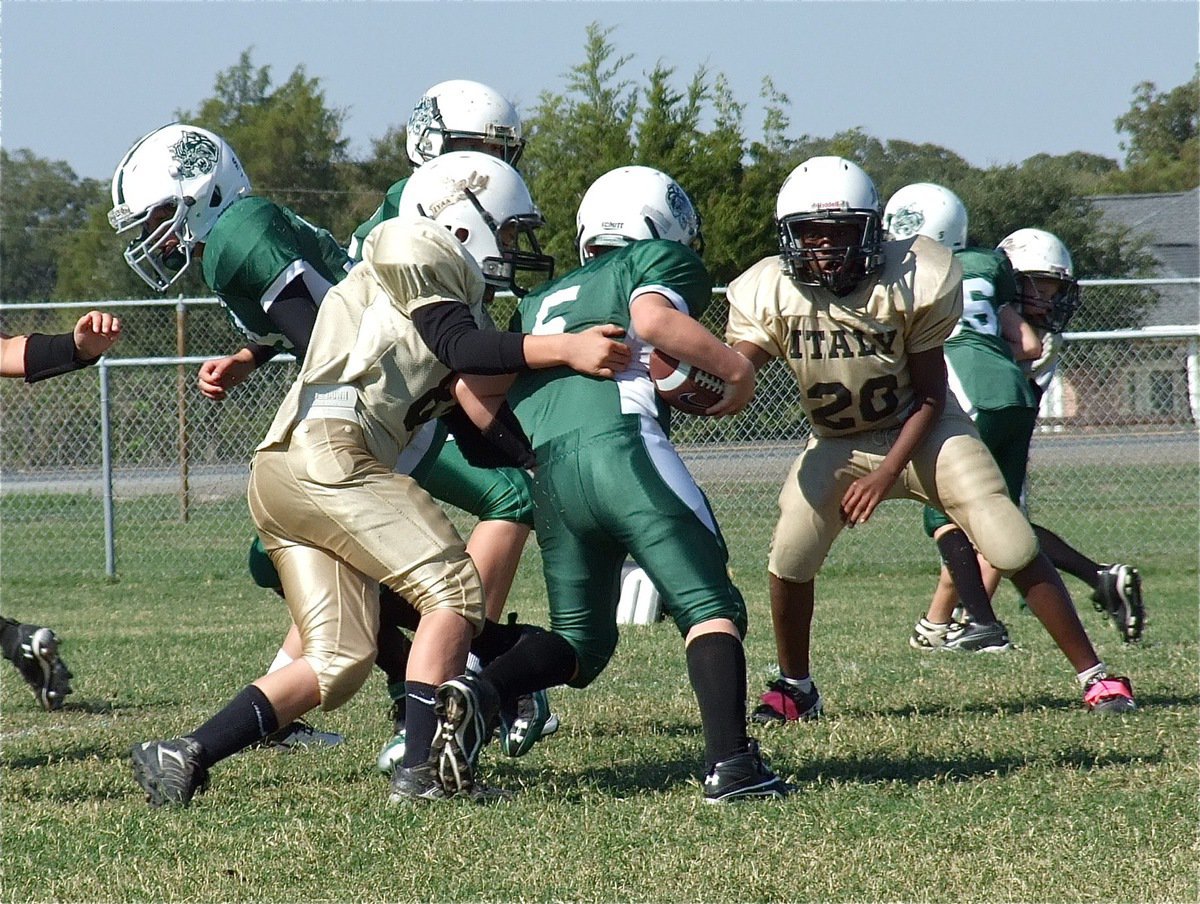 Image: Isaac Salcido(80) and Anthony Lusk(20) bring down the Wildcat quarterback.