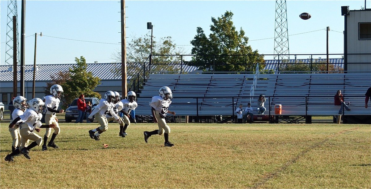 Image: Julius Williams(88) kicks it high to the Bulldogs.