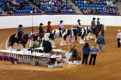 Image: Gypsy horses line up for western pleasure results at the world championship. Flying Dollar Ranch horse is in the center with Hinz in lavender. Photo by Bob Brown.