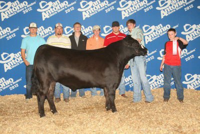 Image: Italy Senior, Clayton Campbell, finished in 4th place in the overall Chianina weight class during the 2012 San Antonio Stock Show &amp; Rodeo. Italy’s, Kyle Jackson, earned 6th place in the AOB overall class. Campbell and Jackson both made the sale.