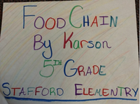Image: Food Chain presentation by Karson