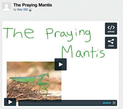 Image: Praying Mantis screen shot