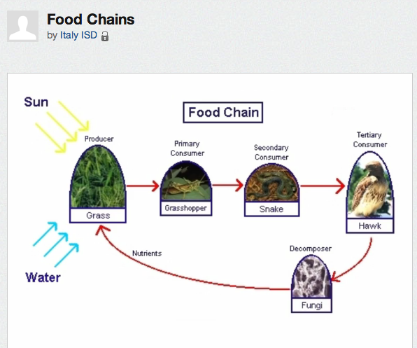 Image: Screen shot of Food Chain presentation