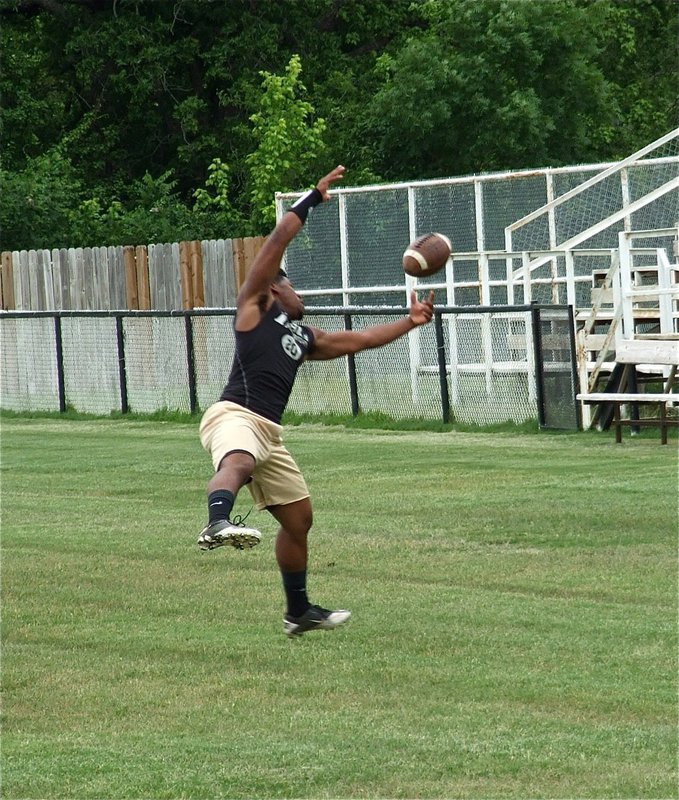 Image: Jalarnace Jamal Lewis makes an acrobatic catch during workouts.