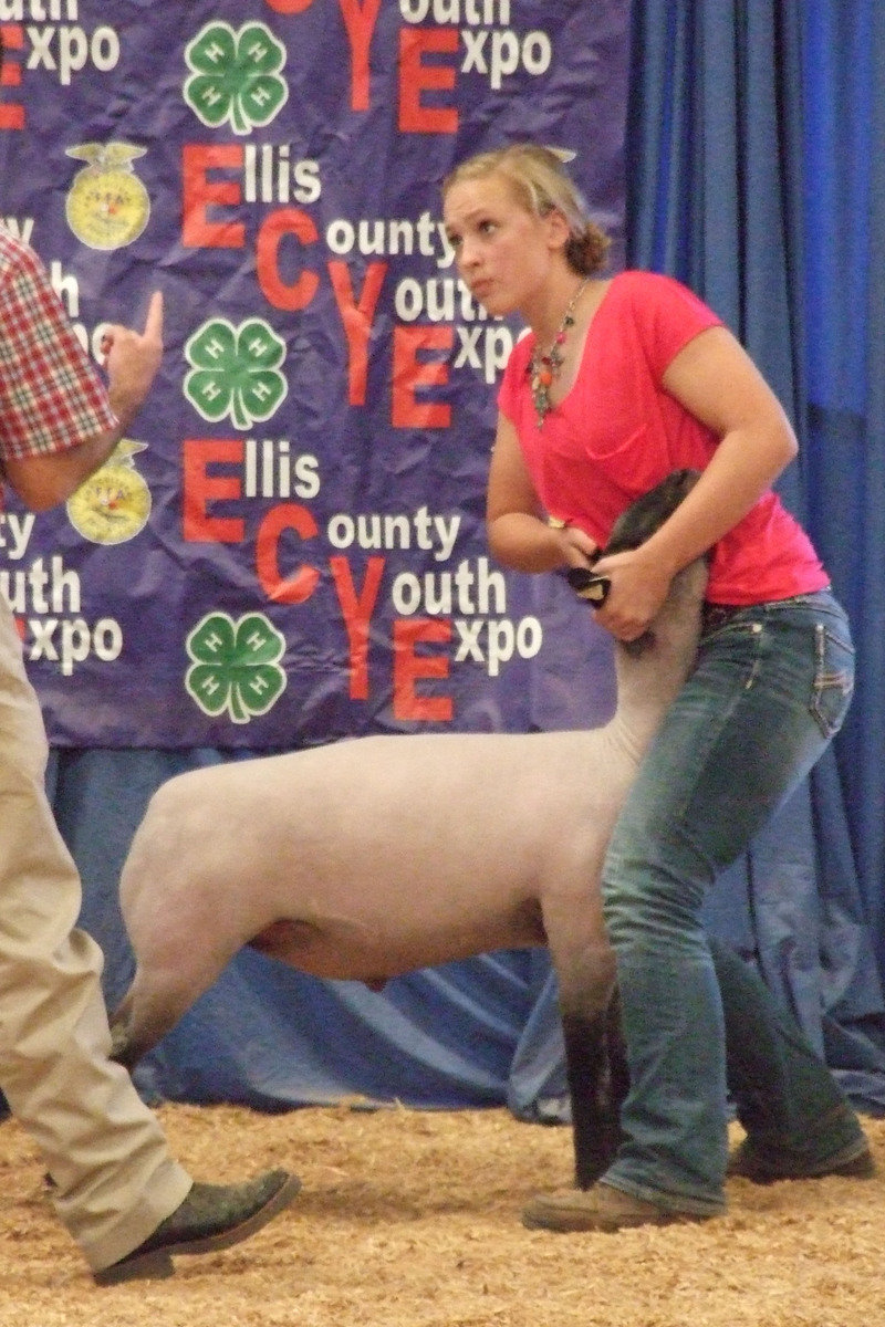 Image: Lewis getting the indicator from the judge that her lamb is the class winner.