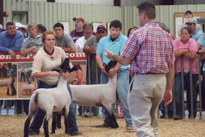 Image: Katie Byers, junior, get the signal from the judge to move into her placing in the class.