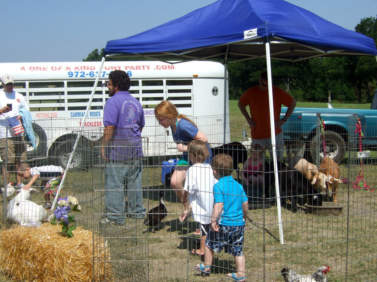 Image: Kids enjoying the petting zoo.