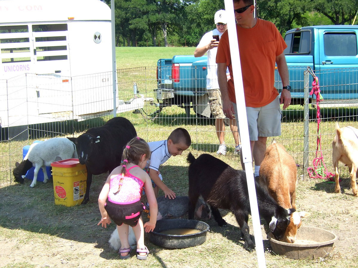 Image: More fun at the petting zoo.