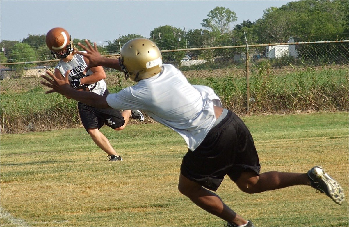 Image: Receiver Paul Harris extends for the ball.