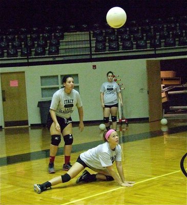 Image: Bailey Eubank really digs volleyball.