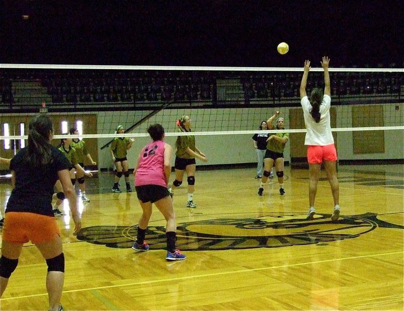 Image: Current Lady Gladiator Alyssa Richards(9) tries to put the ball over alumni player Megann Lewis Harlow.