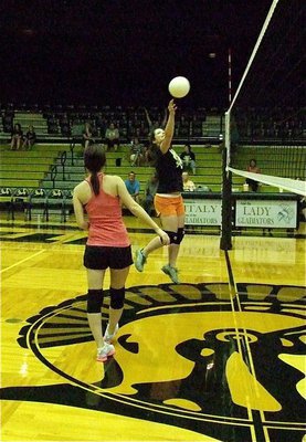 Image: Alumni Lady Gladiator Jessica Simon Ward drops the ball over the top.