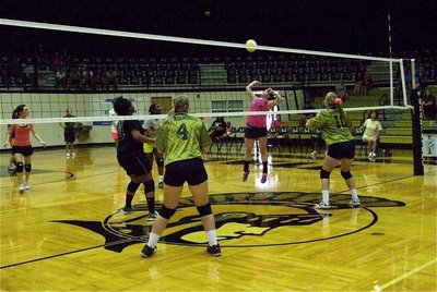 Image: Alumni Lady Gladiator Cassi Windham goes for the spike and receives kudos from coach and mother Andi Windham.