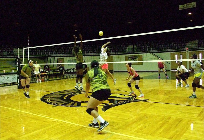 Image: Lady Gladiator Kortnei Johnson(3) goes for the block against Megann Lewis Harlow.