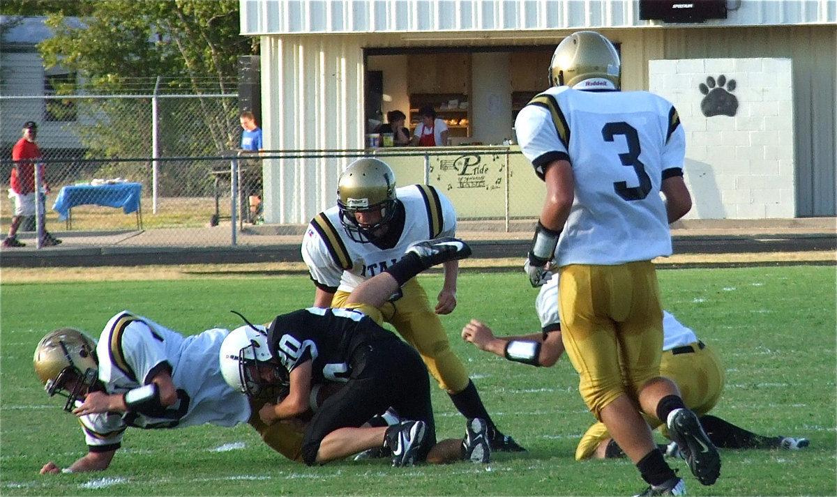 Image: Kyle Fortenberry(66) tries to jar the ball loose from a Tiger receiver.