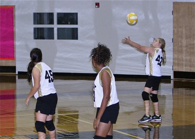 Image: Brycelyn Richards(42) serves while teammates Jenna Holden and Oleshia Anderson look on.
