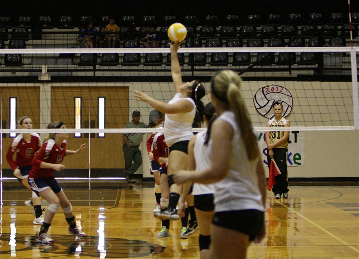 Image: Monserrat Figueroa(14) taps one over the top of the net for the Lady Gladiators.