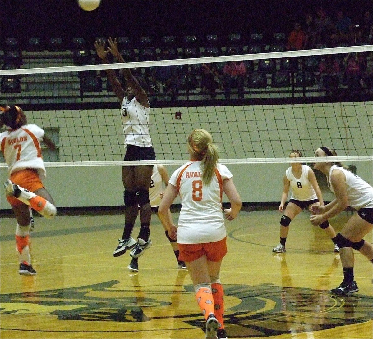 Image: Italy Lady Gladiator Kortnei Johnson(3) takes on Avalon above the net.