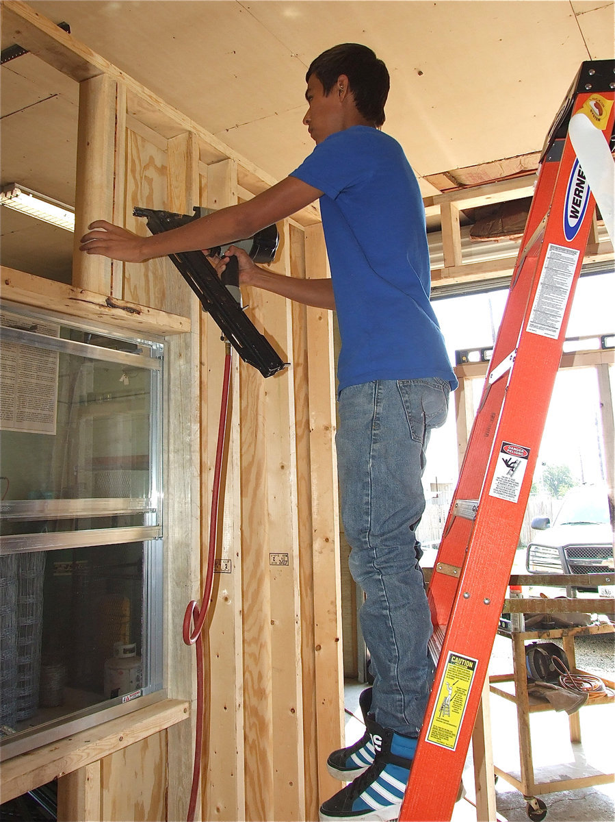 Image: A ladder and nail gun and a job well done.