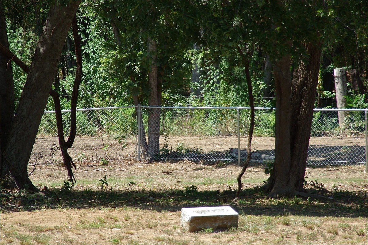 Image: A better view of an area of the cemetery where the foliage had been removed by bulldozers and where the new chain-link fence is constructed inside the cemetery. Beyond the fence is the road carved out by Creek Land &amp; Cattle Company.