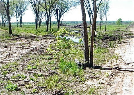 Image: This picture shows the damage done to St. Mary Cemetery when family members discovered the property had been intruded upon on March 24, 2012.