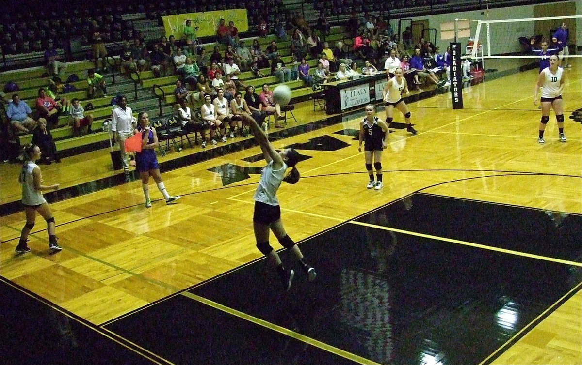 Image: Tracking down a pass is Italy’s Paola Mata(2) using hustle to defrost the Lady Polar Bears.