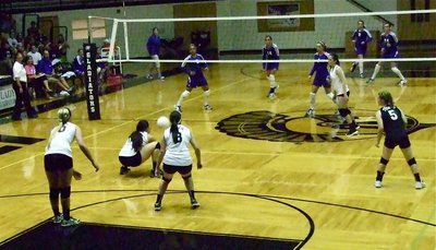 Image: Alyssa Richards(13) gets low to make the dig and keep the volley going.
