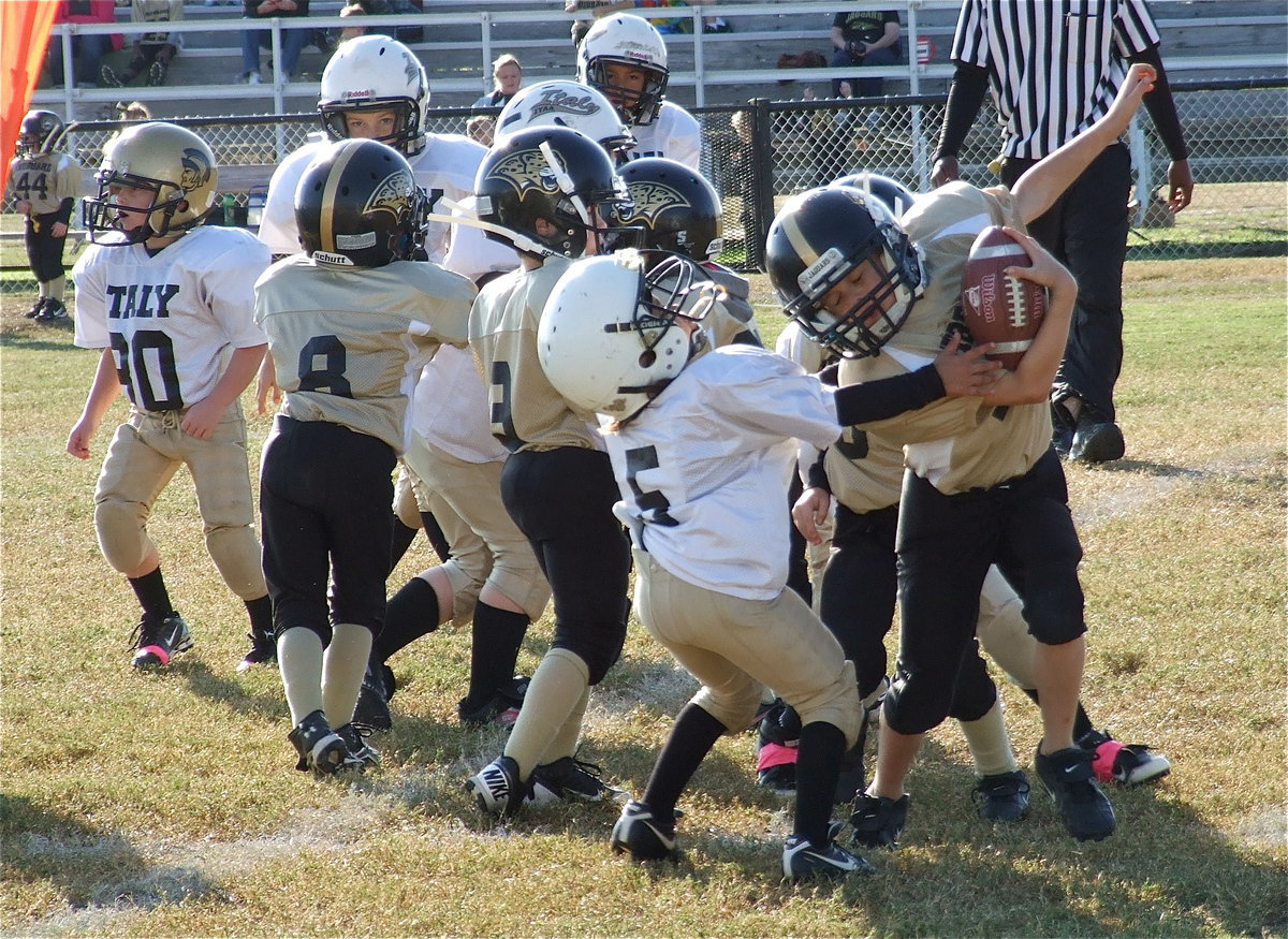 Image: C-Team Gladiator Damien Wooldridge(5) tries to bring down a Hubbard Jaguar.