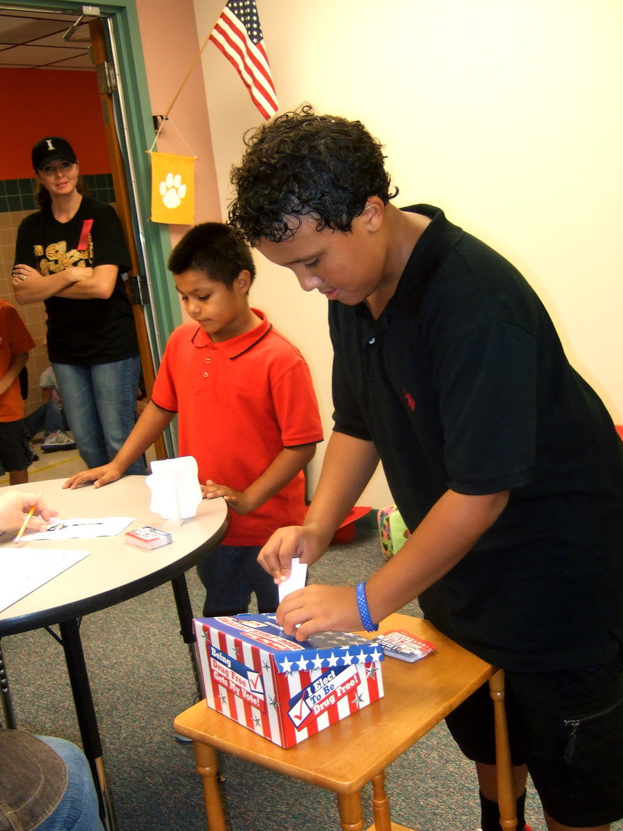 Image: Completed ballot being placed in the ballot box.