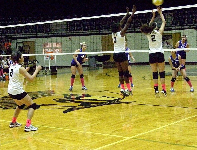 Image: Morgan Cockerham(8) backs up sophomore Kortnei Johnson(3) and fellow senior Paola Mata(2).